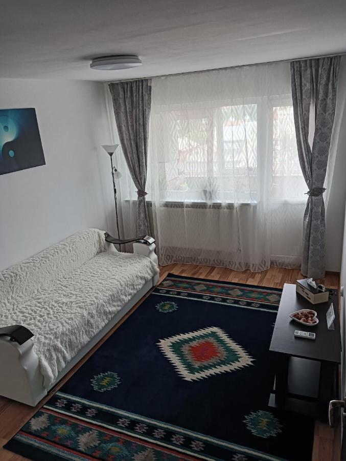 טרגובישטה Hellen Apartament מראה חיצוני תמונה